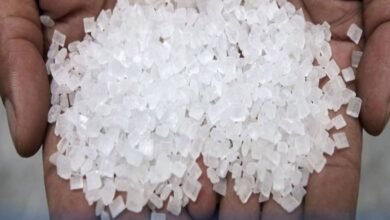 الحكومة تؤجل طرح السكر في البورصة السلعية بسبب هبوط الأسعار المحلية 22