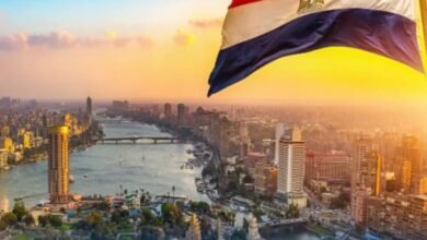 عاجل..مصر ترحب بقرار بلجيكا حظر استيراد منتجات المستوطنات الإسرائيلية 9