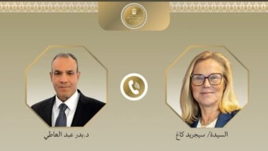 وزير الخارجية: 600 شاحنة مساعدات يومياً ضرورة عاجلة لإنقاذ غزة 3