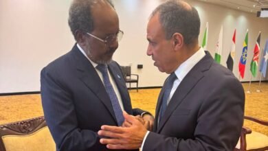 مصر تجدد دعمها الكامل للصومال وترفض أي مساس بوحدة أراضيه 4