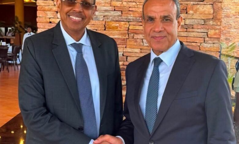 مصر والإتحاد الأفريقي.. مباحثات رفيعة المستوى حول أزمات السودان والصومال 1