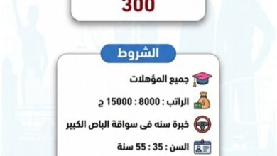 بمرتبات تصل إلى 15000 شهريا .. وزارة العمل تعلن عن 1275 وظيفة جديدة في 42 شركة 6