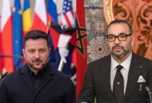 زيلينسكي الملك محمد السادس
