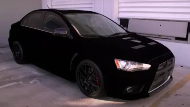 طلاء Musou Black