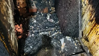 صحة القليوبية تضبط طن حلاوة طحينية مغشوشة.. وإغلاق المصنع لوجود أخطار جسيمة 64