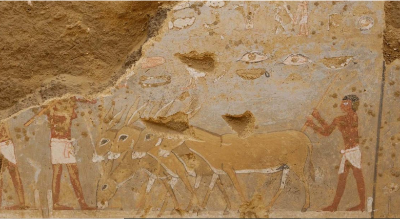 مقبرة مسؤول فرعوني بسقارة