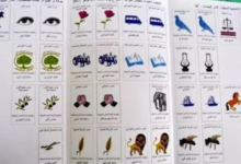 خبراء محاسبون يراجعون وثائق مالية ضمن قواعد تدقيق حسابات الأحزاب الجديدة