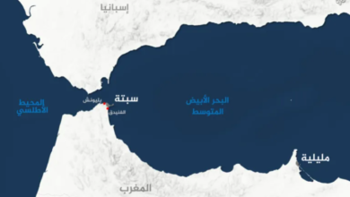 الحملة الإلكترونية التي نظمت اجتياح سبتة من الجزائر