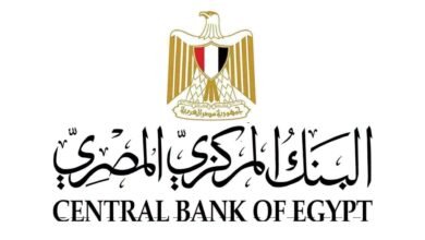 "البنك المركزي المصري" يطلق أول بوابة قارية للإستقرار المالي في إفريقيا 2