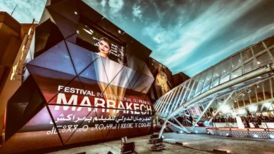 دعم المهرجانات السينمائية