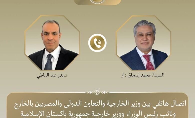 في اتصال هاتفي مهم.. وزير الخارجية ونظيره الباكستاني يبحثان ترتيبات الأمن الإقليمي 1