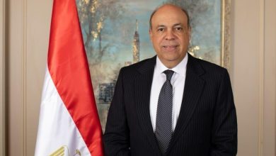 وزير الطيران : الإعلان عن بدء تشغيل المنظومة الرقمية المستحدثة للحصول على التأشيرة فور الوصول إلى مطار القاهرة 2