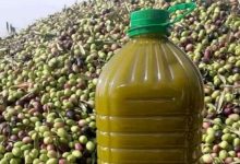 زيت الزيتون المغربي