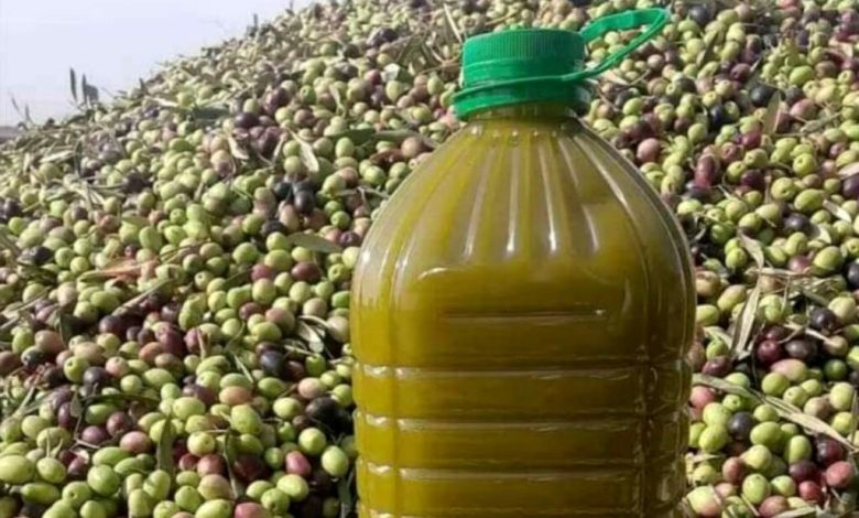 زيت الزيتون المغربي