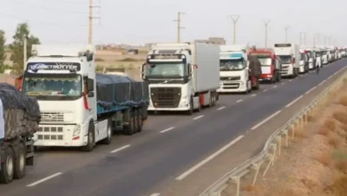 دعم مهنيي النقل عبر المنصة الرقمية الحكومية