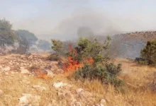 حريق غابوي تحت السيطرة بين أورير وتاغازوت في سوس ماسة