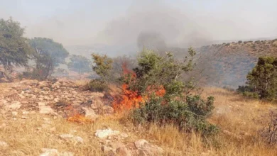 حريق غابوي تحت السيطرة بين أورير وتاغازوت في سوس ماسة