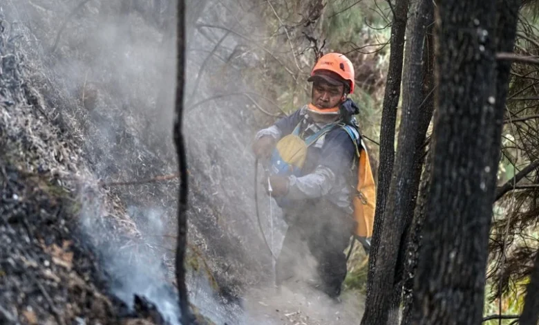 حرائق الغابات بإندونيسيا وسحب الدخان التي أجبرت السلطات على إغلاق المدارس