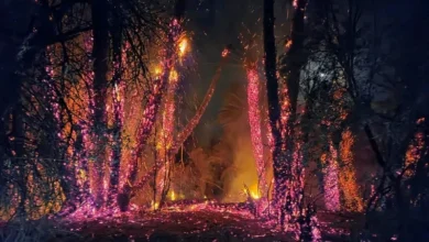 صورة تعبيرية توضح جهود إخماد حريق واحة أياي بتيزنيت