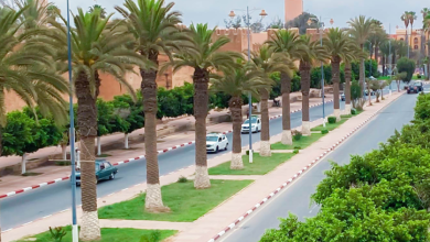 حافلات وادي سوس