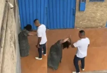 ضابط إنزكان