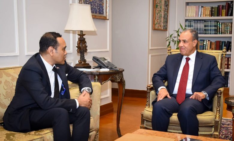 مصر تفتح الباب أمام الإستثمارات السنغافورية.. وزير الخارجية يطرح فرص توطين الصناعات 1
