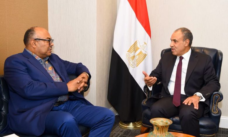 مصر وتنزانيا تبحثان ملفات المنطقة والأمن المائي.. وبدر عبد العاطي يؤكد أهمية التعاون في نهر النيل 1