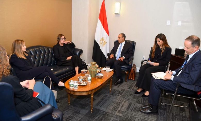 مباحثات مصرية مع الصليب الأحمر لتعزيز الجهود الإنسانية في غزة والسودان 1