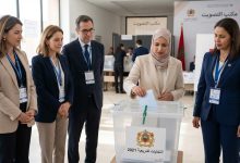 مراقبة الانتخابات