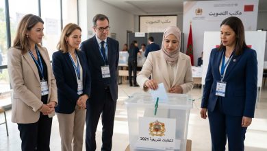 مراقبة الانتخابات