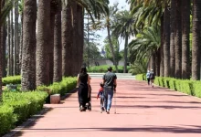 توقعات الطقس