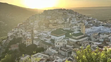 الفنون التشكيلية