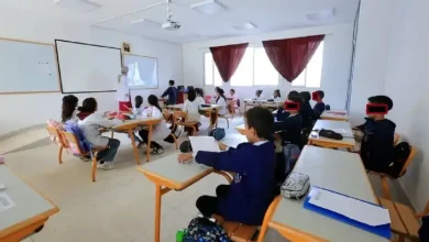 الأستاذ المرجعي