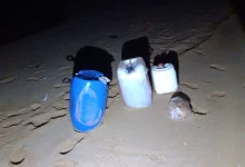شبكة الهجرة طانطان