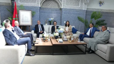 حكومة المنصوري