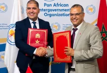 الصناعات الجلدية