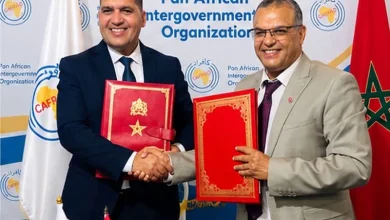 الصناعات الجلدية