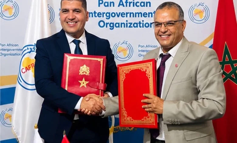 الصناعات الجلدية