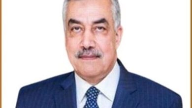 مصر تفتح أبوابها للاستثمار الطبي الأوروبي.. تحرك جديد للترويج للسياحة العلاجية وتصدير الخدمات الصحية 4