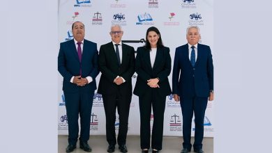 الأغلبية الحكومية