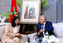التشكيلة الحكومية