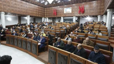 مجلس البيضاء