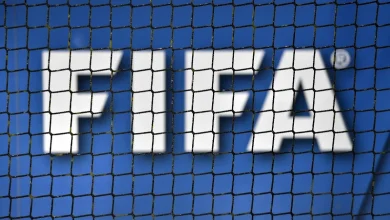 تمويل فيفا