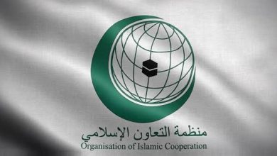 التعاون الإفريقي