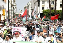 التضامن الفلسطيني