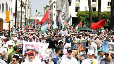 التضامن الفلسطيني