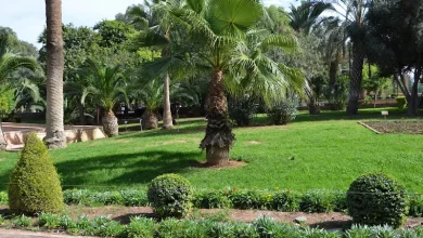 طقس المغرب