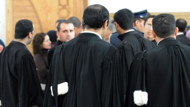 محام يوضح حقيقة 1000 محام بدون بطاقة وطنية 15 بطاقة وطنية